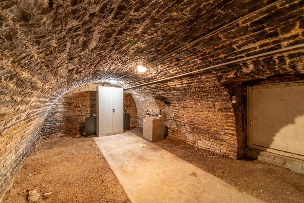 Corgoloin Cote Cour, 3 Chambres, Terrasses, Jardin Prive Avec Terrain De Petanque, Cave Voutee מראה חיצוני תמונה